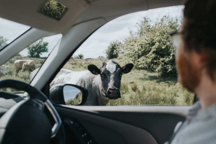 Két szám mutatja milyen brutálisan fejlődött az autózás Kínában 2 | Vezess Két szám mutatja milyen brutálisan fejlődött az autózás Kínában 2