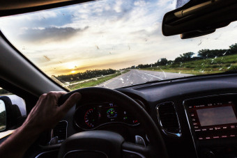 Észrevetted? Egyre kevesebb a halott rovar a szélvédőn, és ez elég aggasztó