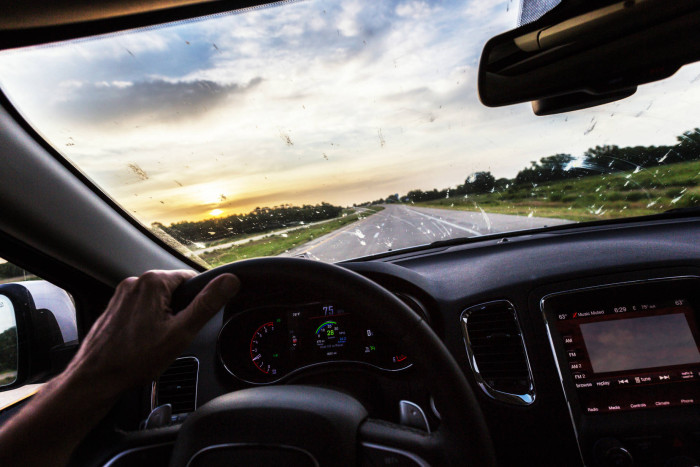 Észrevetted? Egyre kevesebb a halott rovar a szélvédőn, és ez elég aggasztó