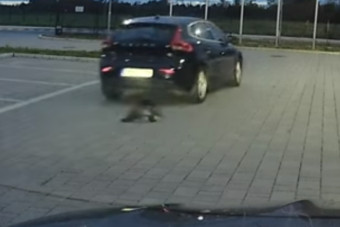 Nem volt rest a nyest, aki egy guruló autóból ugrott ki Szombathelyen