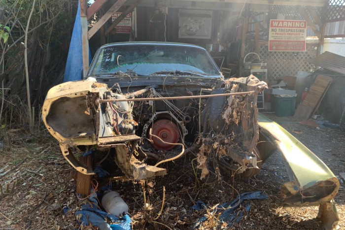 Kaphat még új esélyt ez az öreg, elhagyott Mustang? 7