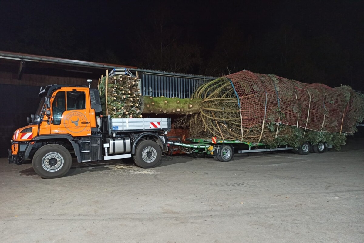 This little truck has been given an unusual mission