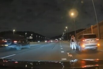 Decemberre befutott az év legbizarrabb autós üldözése