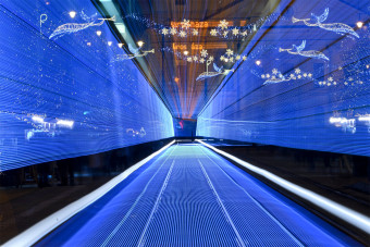 Nézd meg a debreceni fényvillamos fotóit és ájulj el te is