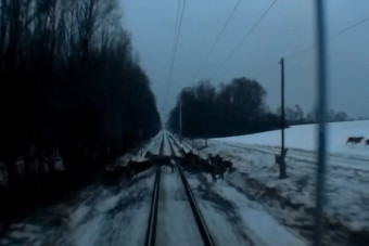 Vonat elé rohant durván száz őz Ják közelében, a mozdonyvezető mindent felvett