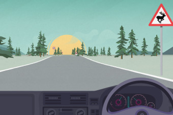 A gyorsaságod alapján ez a játék megmondja, hány éves lehetsz