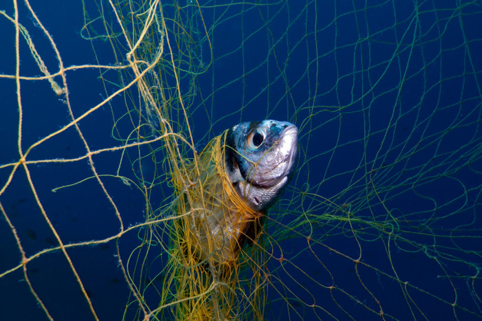 Ezektől lesz zöld az autózás? 12