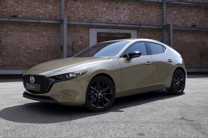 Semmi nem véd az autóipar mumusától 14