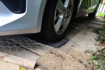 Befészkelt, szétrágta a nyest? Itt van néhány módszer a bosszantó rágcsáló ellen