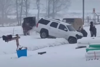 Lovakkal húzták ki az árokba csúszott autót