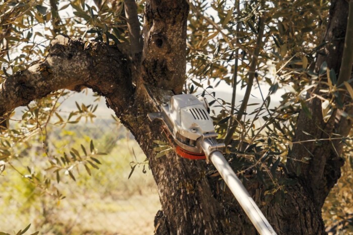 Váratlan húzás, már ebből is készítenek autóalkatrészt 6