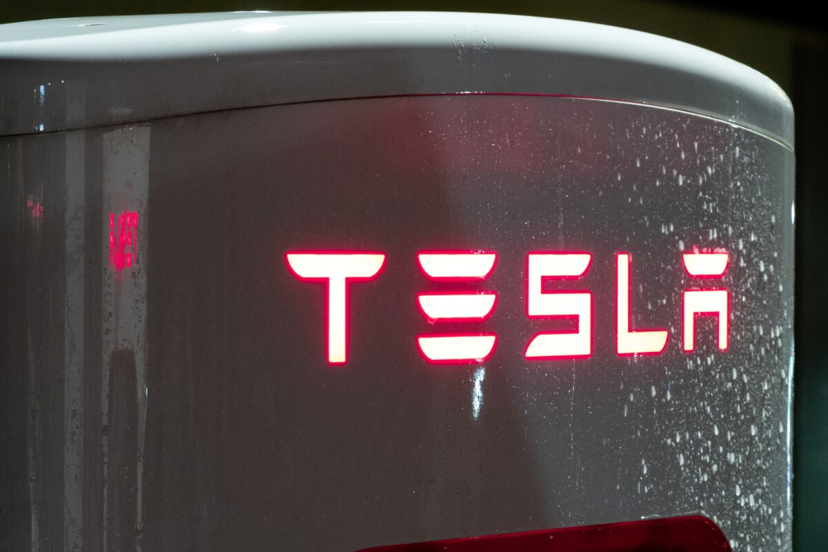 Bird droppings can be dangerous for your new Tesla