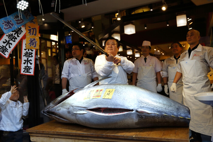 Kilónként bő 1 milliót adtak ezért a halért