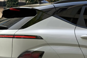 Farsangra pandának öltözik ez az autó