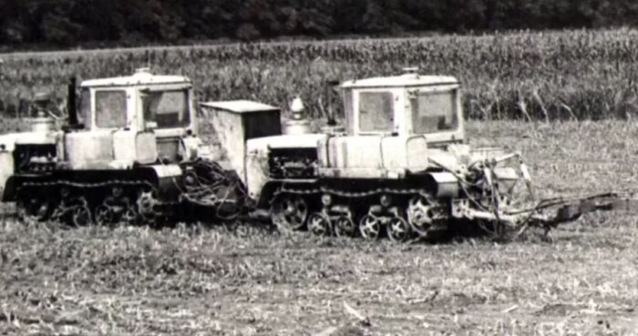 Ezt az orosz mutánst a csernobili katasztrófa szülte 4 | Vezess Ezt az orosz mutánst a csernobili katasztrófa szülte 4