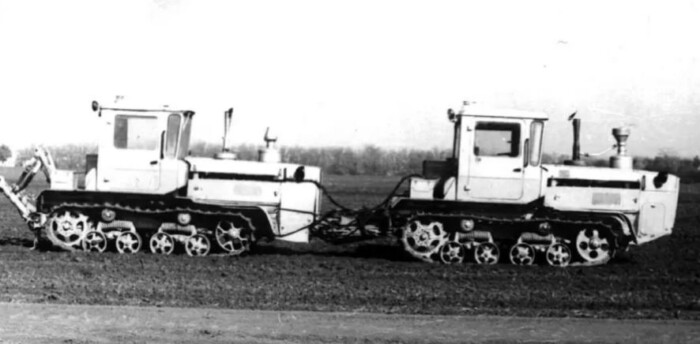 Ezt az orosz mutánst a csernobili katasztrófa szülte 5 | Vezess Ezt az orosz mutánst a csernobili katasztrófa szülte 5