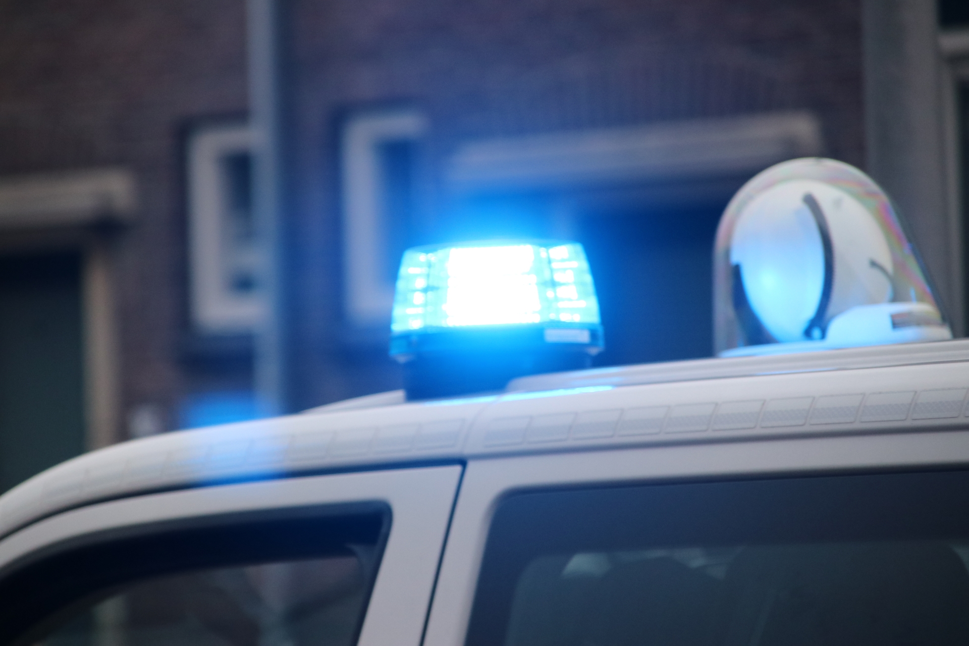 Tehenek veszélyeztették a közlekedést Zalában