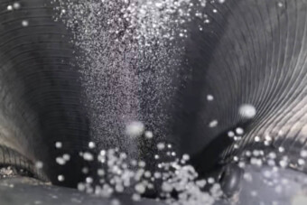 Ez történik egy gumi belsejében kátyúba hajtva