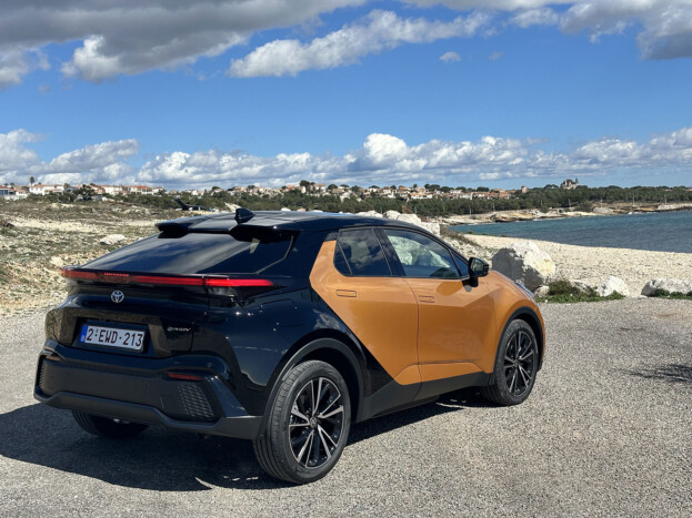 Itt egy szerethető hibrid 6