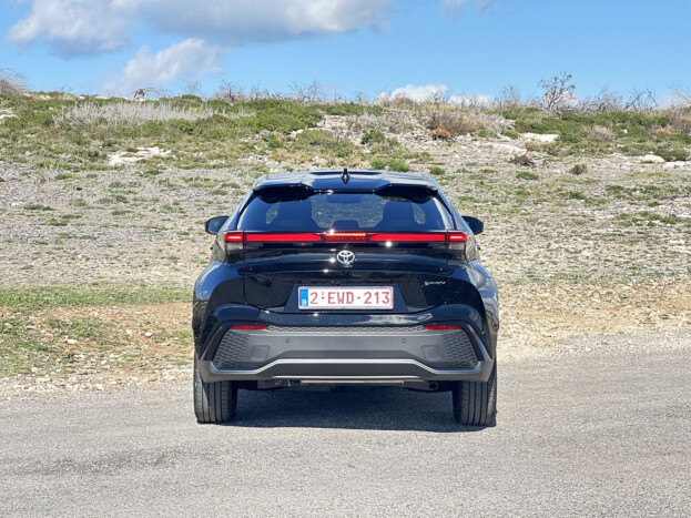 Itt egy szerethető hibrid 12