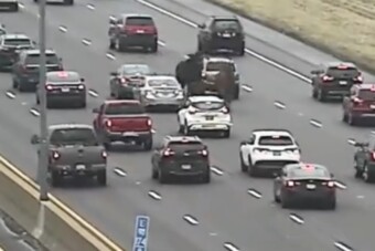 Szökött lovaikat kergették a rendőrök az autópályán