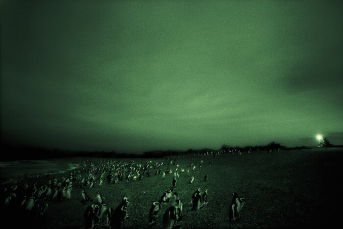 Eddig nem látott kollekciót mutat meg a Mercedes 2