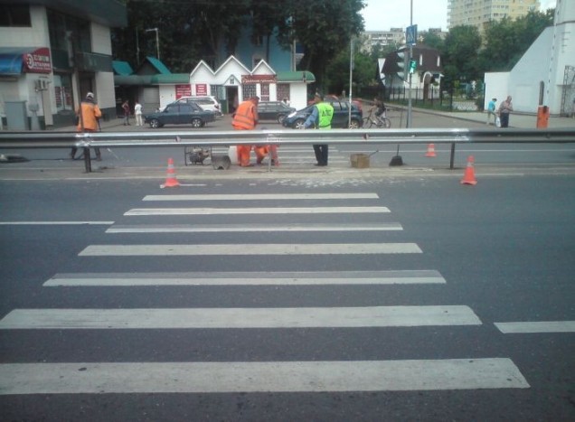 5 zebra, amin csak a legbátrabbak mernek átkelni 1