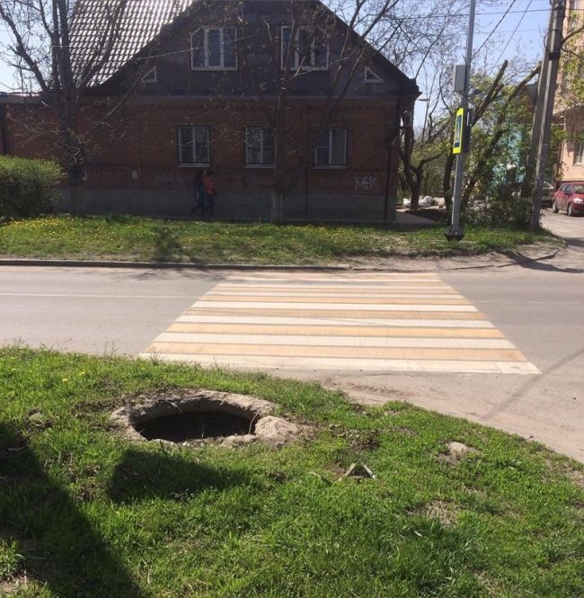 5 zebra, amin csak a legbátrabbak mernek átkelni 4