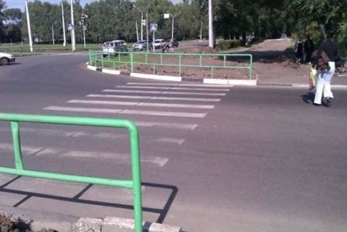 5 zebra, amin csak a legbátrabbak mernek átkelni 5