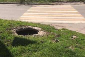 5 zebra, amin csak a legbátrabbak mernek átkelni