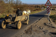 Borzalmas vége lett a házasok sétakocsikázásának 1