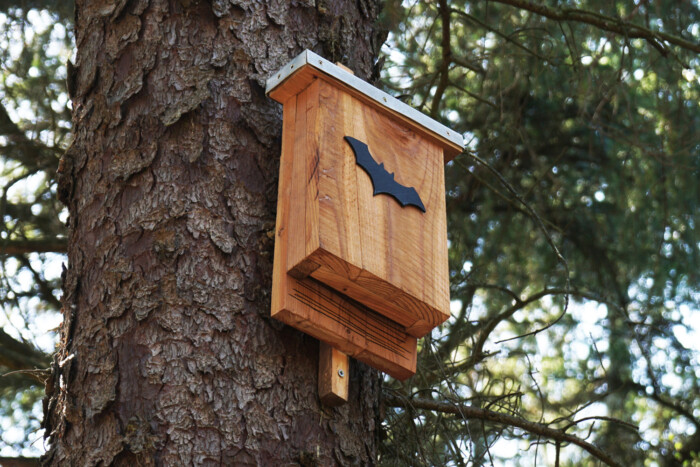 Nem hiszed el, mivel takarják le a forgalomfigyelő kamerákat