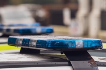 Egy madár csinált madarat a rendőrökből