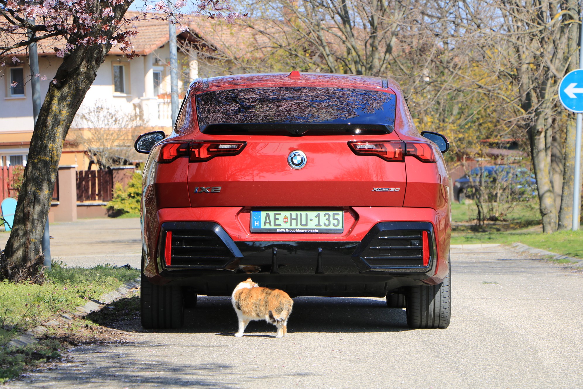 Élet egy feltűnő farral és 313 villanylóerővel 6