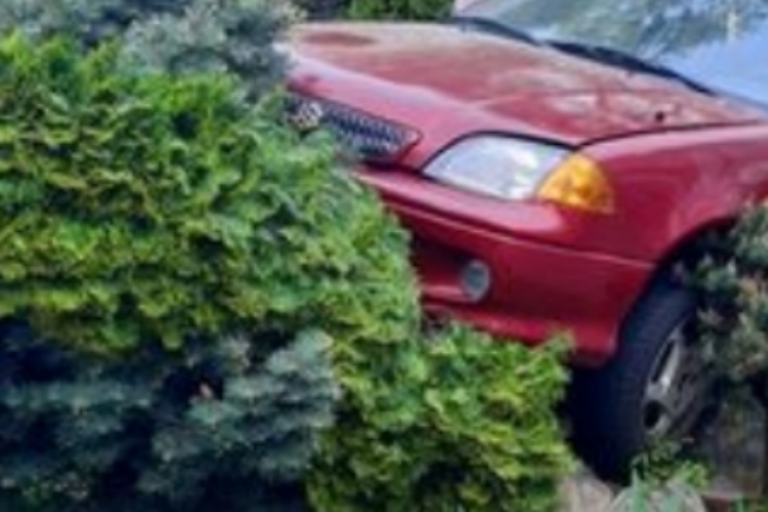 Úgy „leparkolt” egy Suzuki Salgótarjánban, hogy a rendőrök is azon gúnyolódnak
