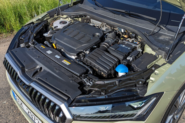 Cseh óriás, amibe nehéz belekötni 13