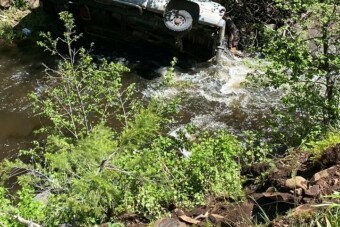 Kutyája mentette meg a szakadékba zuhant autós életét