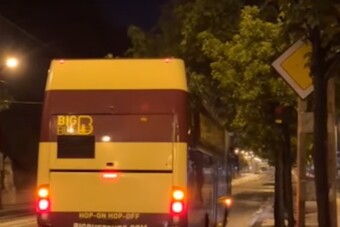 Turistabuszról metszették a fákat Budapesten