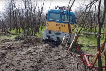 Kiderült, miért gázolnak annyit a MÁV vonatai