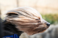 Ez a táblázat segít minden autósnak, aki butaságot követ el 2