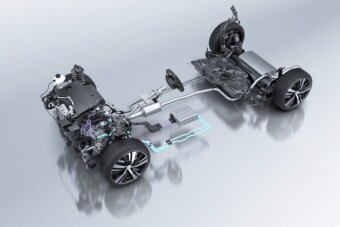 Rengeteg új hibrid születik Európában