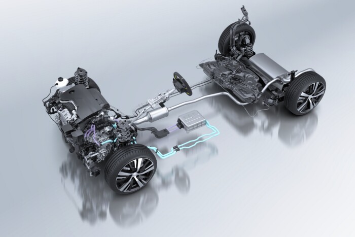 Rengeteg új hibrid születik Európában