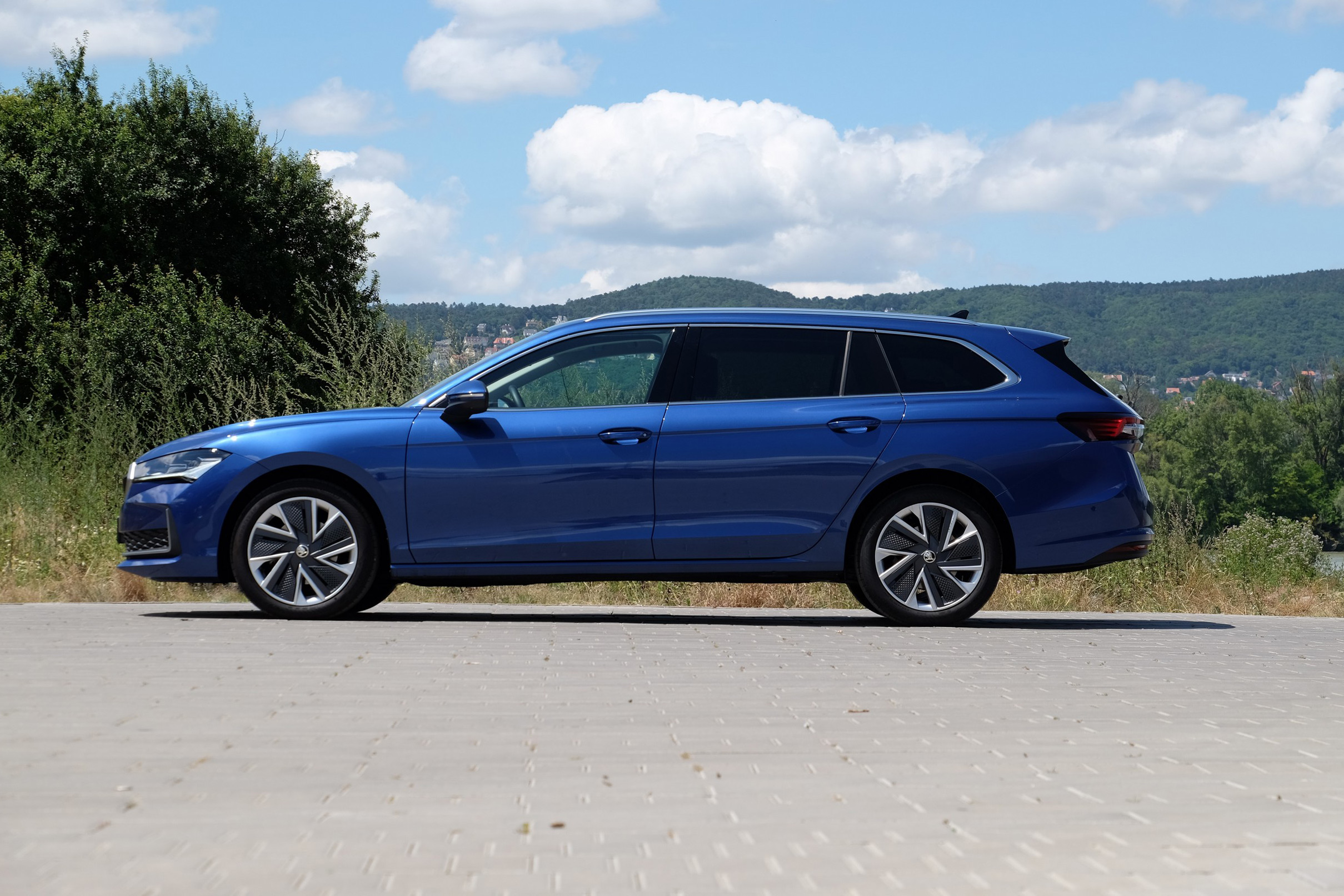 Veszélyeztetett faj – Škoda Superb Combi 6