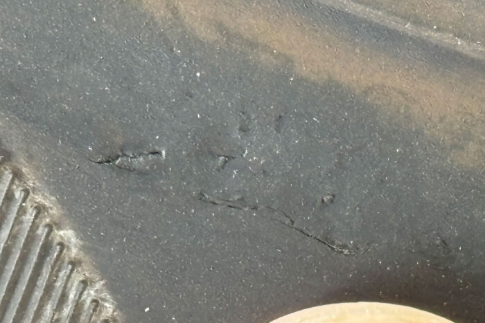 Csodálatos fordulat a Tesla-gyilkos pesti kátyú ügyében 3