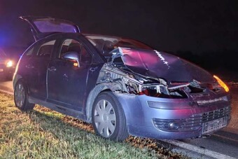 Egy szarvas elintézett egy autót a 86-os úton, ezután felállt és elsétált