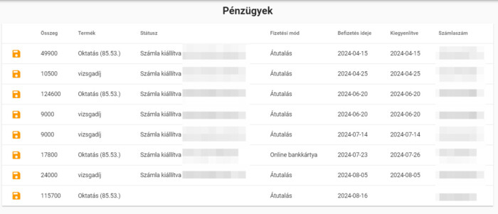 Százezrek egy lapos műanyagdarabért 5