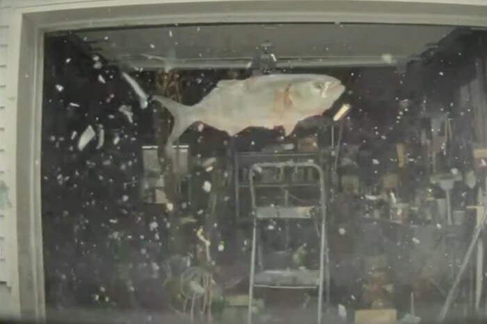 Hal zuhant az égből egy Tesla tetejére