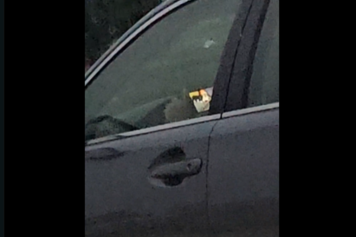 Autópályán száguldva nézte a rajzfilmet