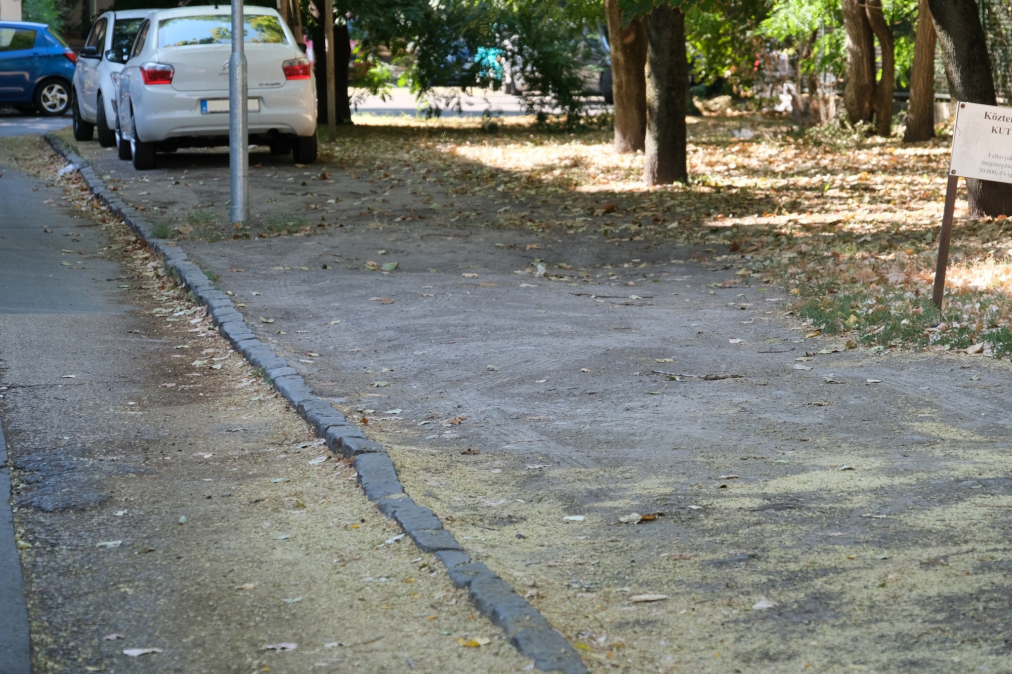 Ezért kapsz parkolási büntetést, és így úszhatod meg 9