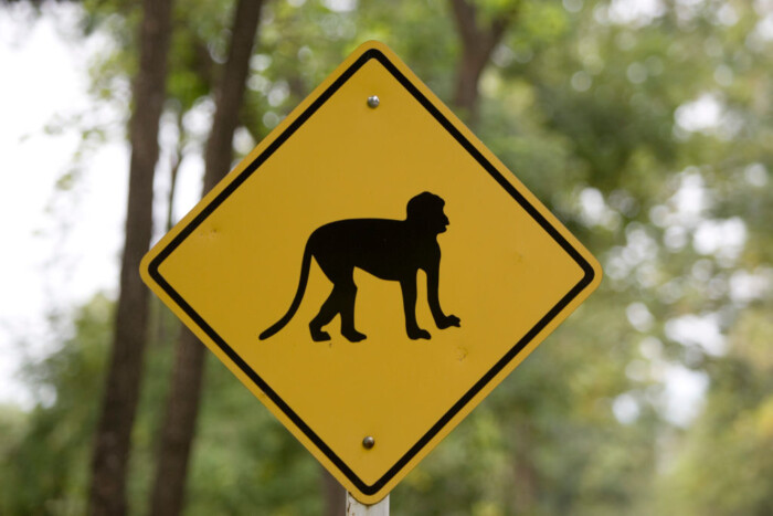 Szokatlan veszélyre figyelmeztetnek ezek a táblák